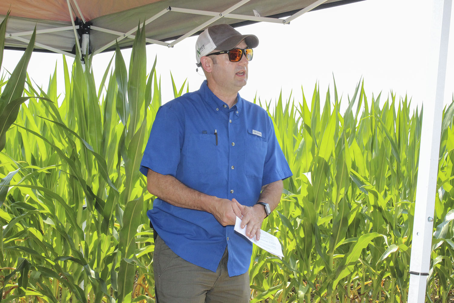 Researchers testing ‘next generation of cover crops’